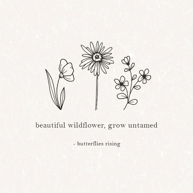 beautiful wildflower, grow untamed - butterflies rising