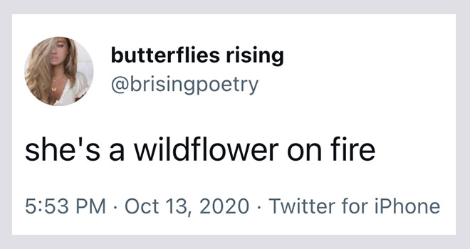 shes a wildflower on fire - butterflies rising