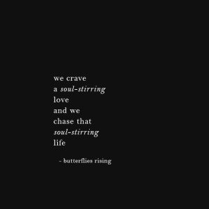 we crave a soul-stirring love and we chase that soul-stirring life