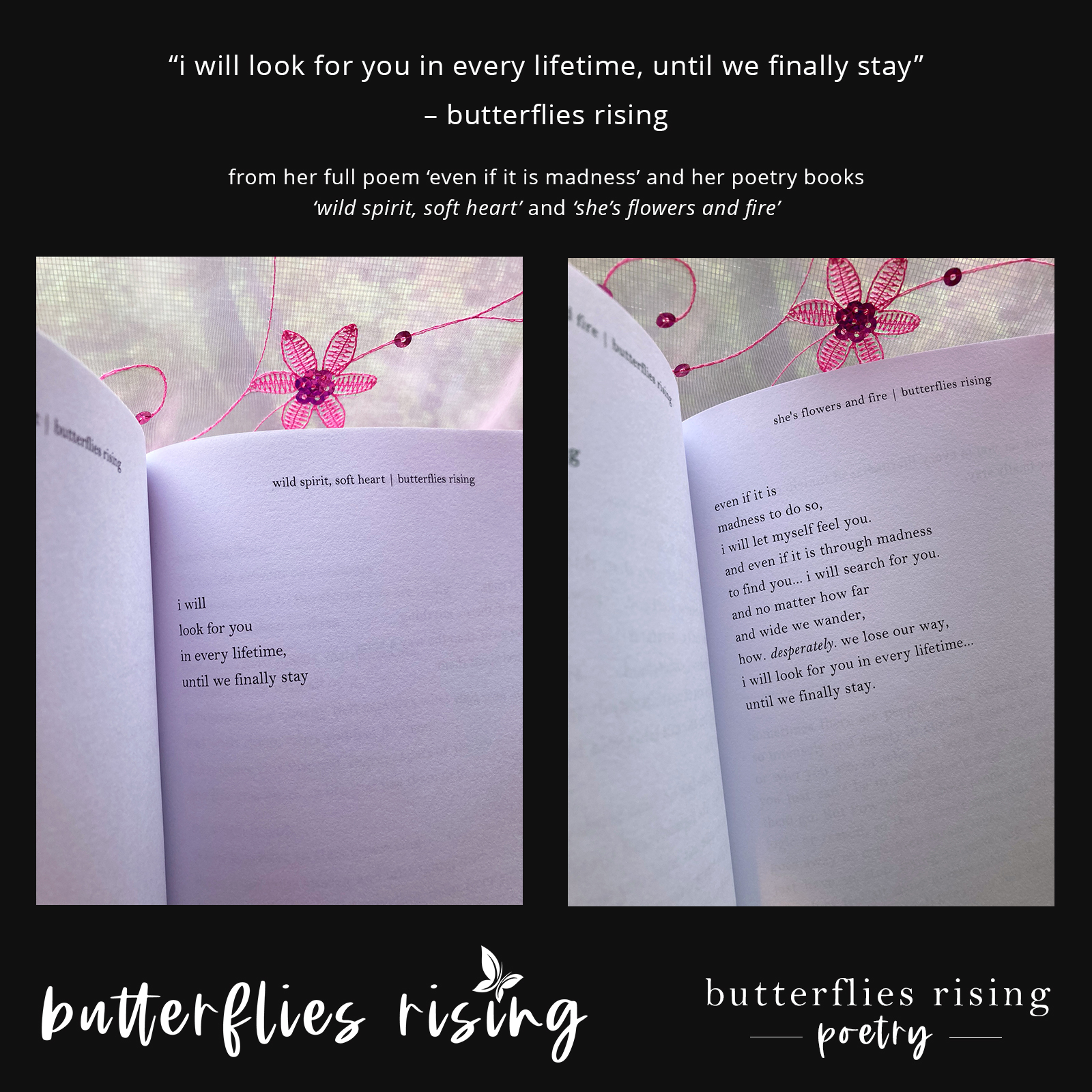 i will look for you in every lifetime, until we finally stay - butterflies rising