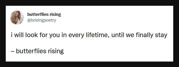i will look for you in every lifetime, until we finally stay - butterflies rising