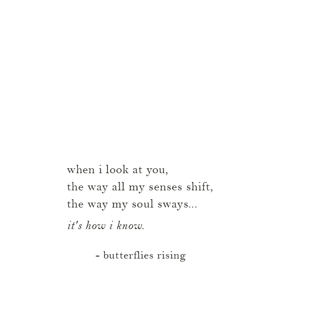"when i look at you, the way all my senses shift, the way my soul sways...  it's how i know. - butterflies rising
