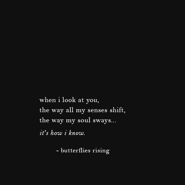 "when i look at you, the way all my senses shift, the way my soul sways...  it's how i know. - butterflies rising