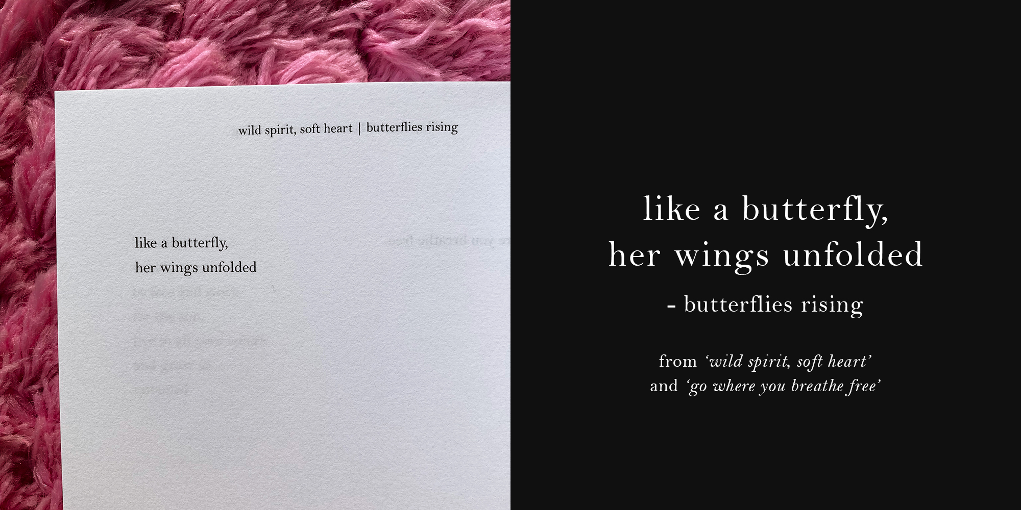 like a butterfly, her wings unfolded