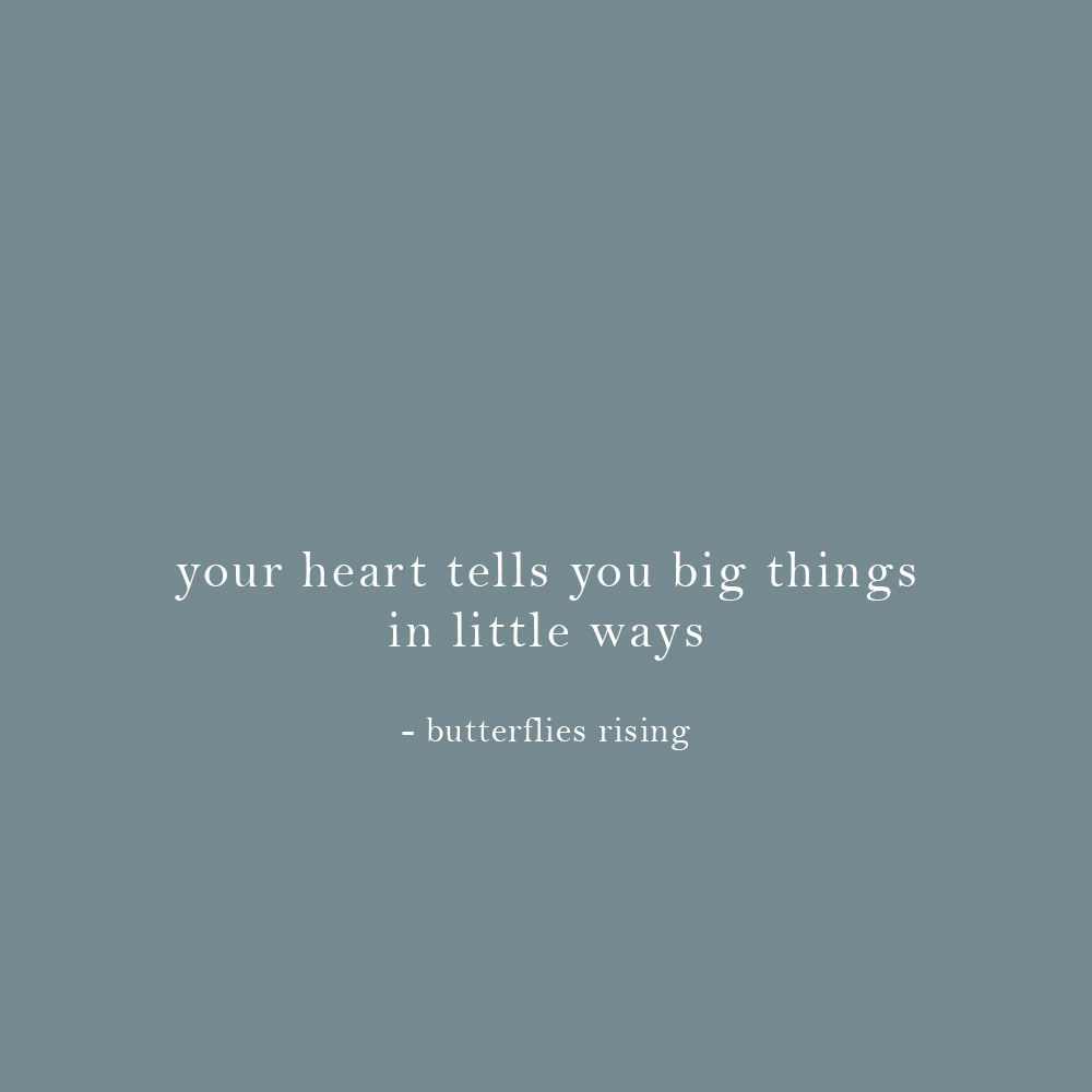 your heart tells you big things in little ways - butterflies rising