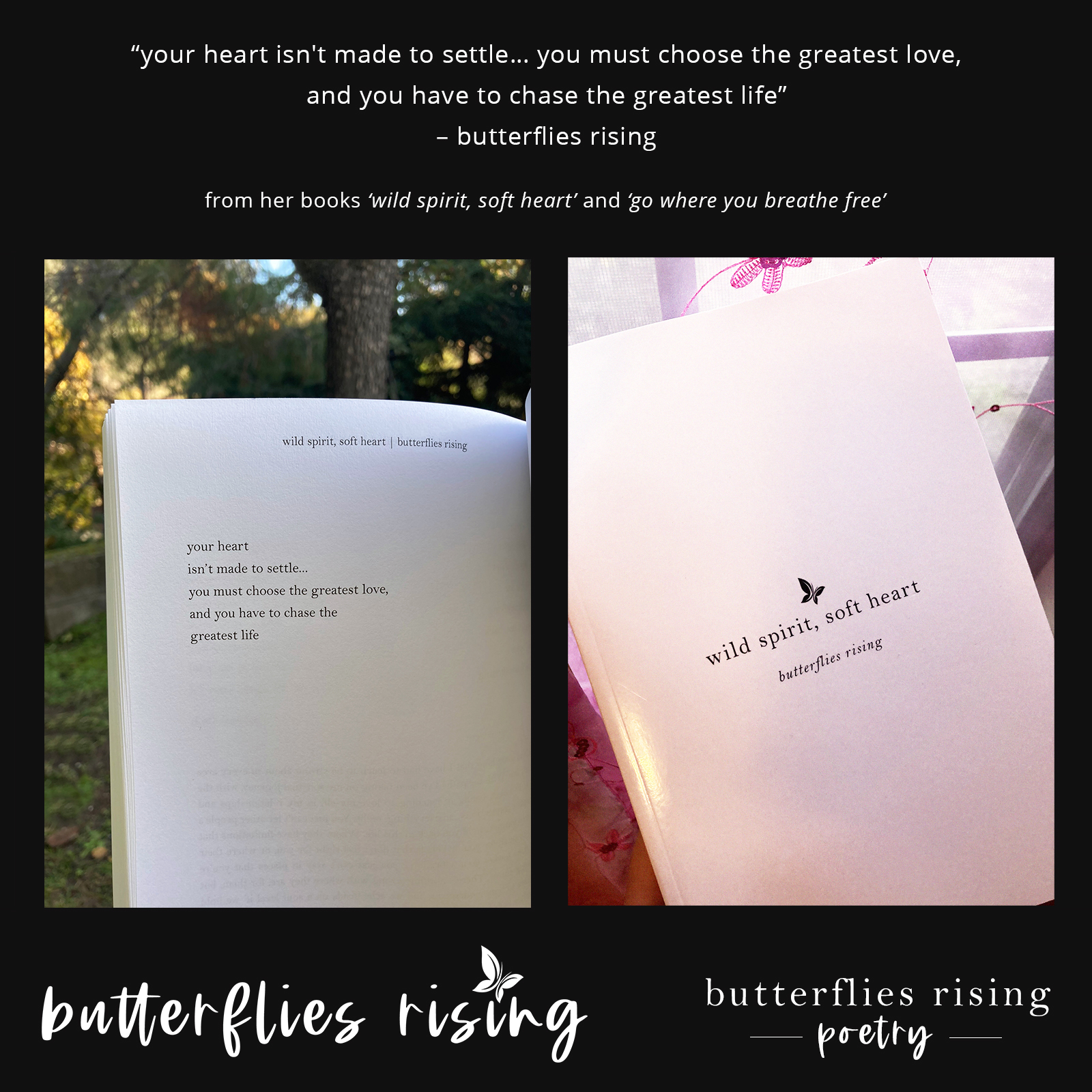 your heart isn't made to settle... you must choose the greatest love, and you have to chase the greatest life - butterflies rising