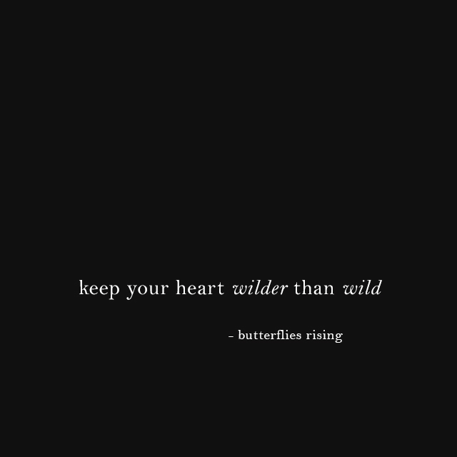 keep your heart wilder than wild - butterflies rising