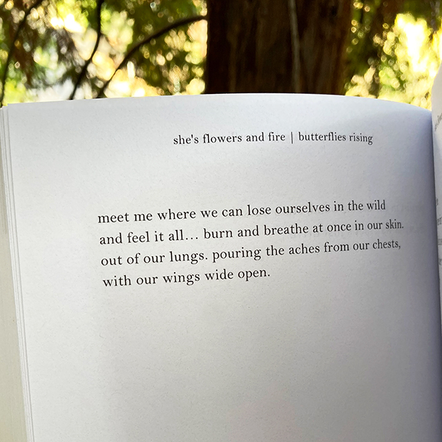 meet me where we can lose ourselves in the wild and feel it all... burn and breathe at once in our skin. - butterflies rising