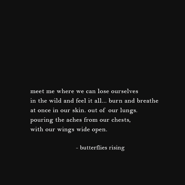 meet me where we can lose ourselves in the wild and feel it all... burn and breathe at once in our skin.