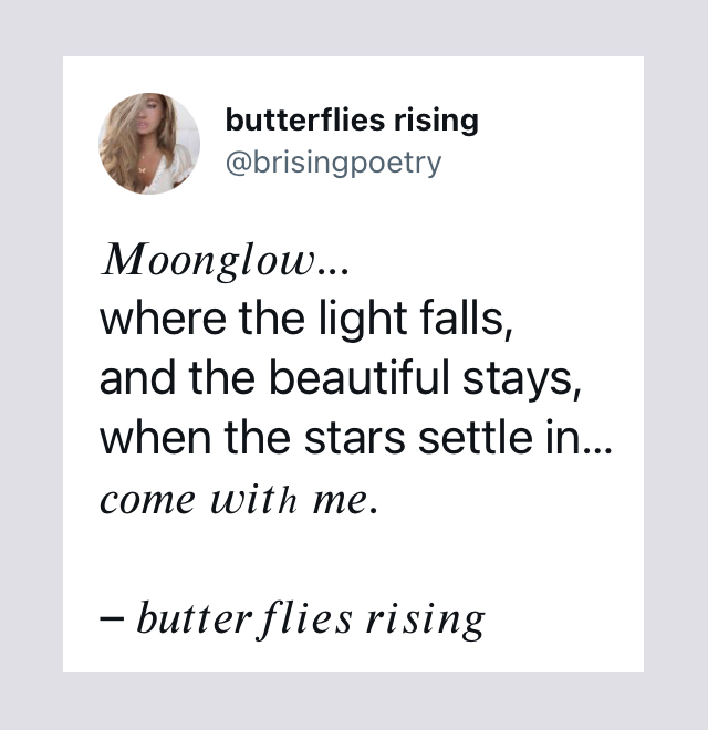 moonglow... where the light falls and the beautiful stays, when the stars settle in... come with me. - butterflies rising tweet