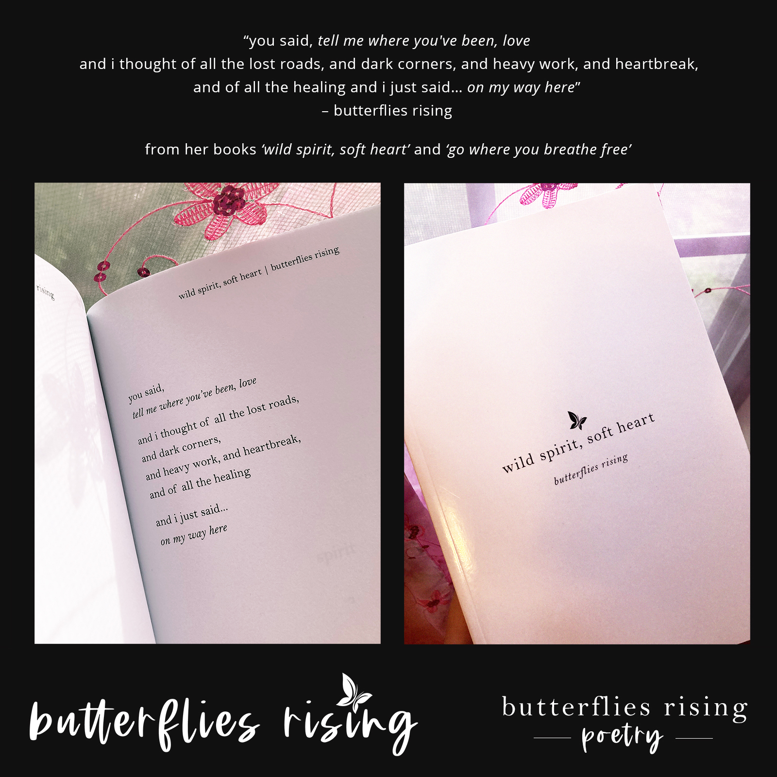 you said, tell me where you've been, love, and i thought of all the lost roads, and dark corners - butterflies rising