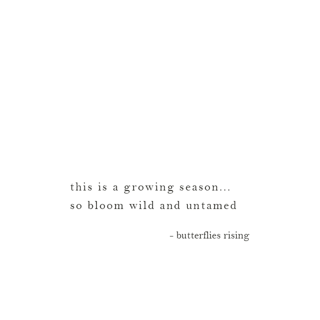 this is a growing season… so bloom wild and untamed – butterflies rising