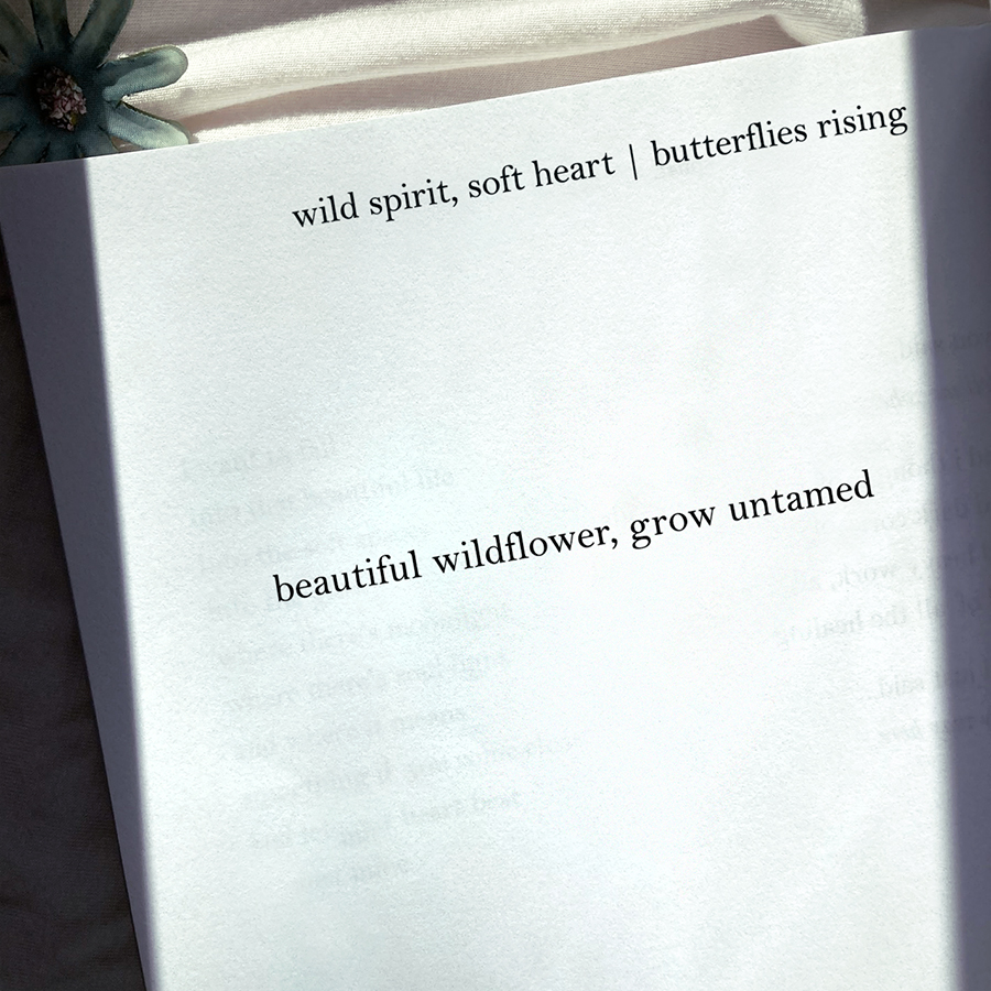 beautiful wildflower, grow untamed