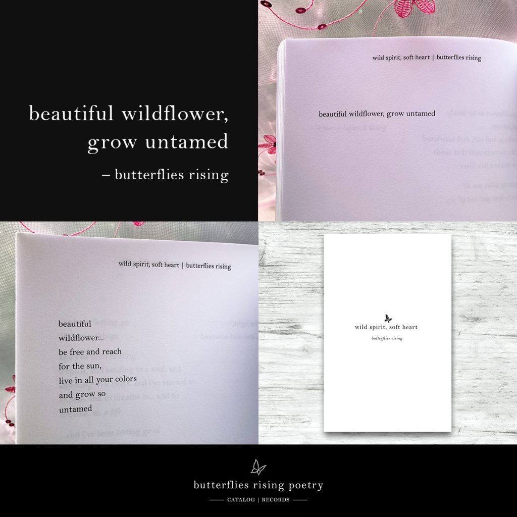 beautiful wildflower, grow untamed