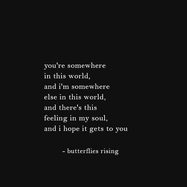 you're somewhere in this world, and i'm somewhere else in this world - butterflies rising