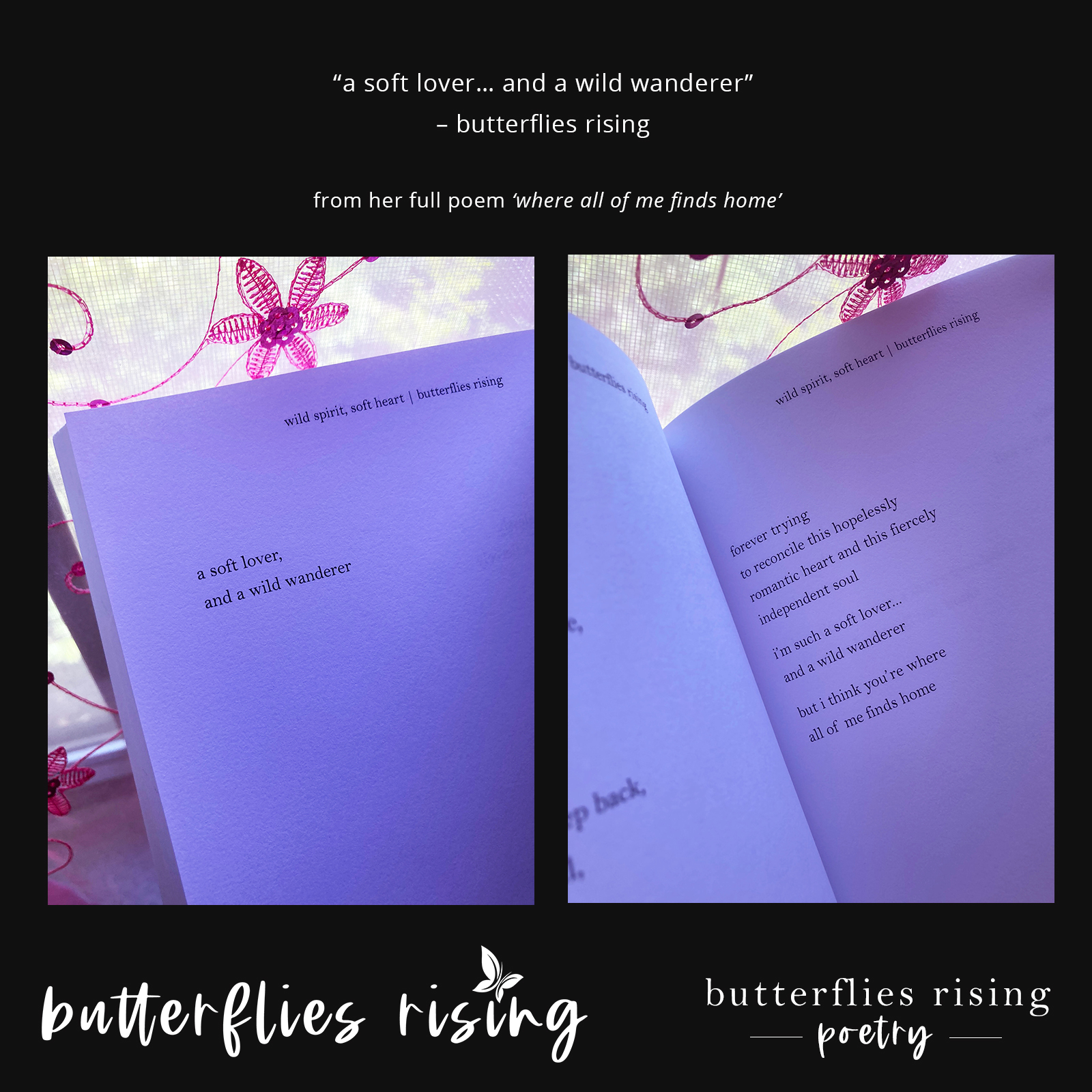 a soft lover, and a wild wanderer - butterflies rising