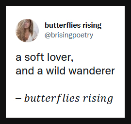 a soft lover, and a wild wanderer - butterflies rising