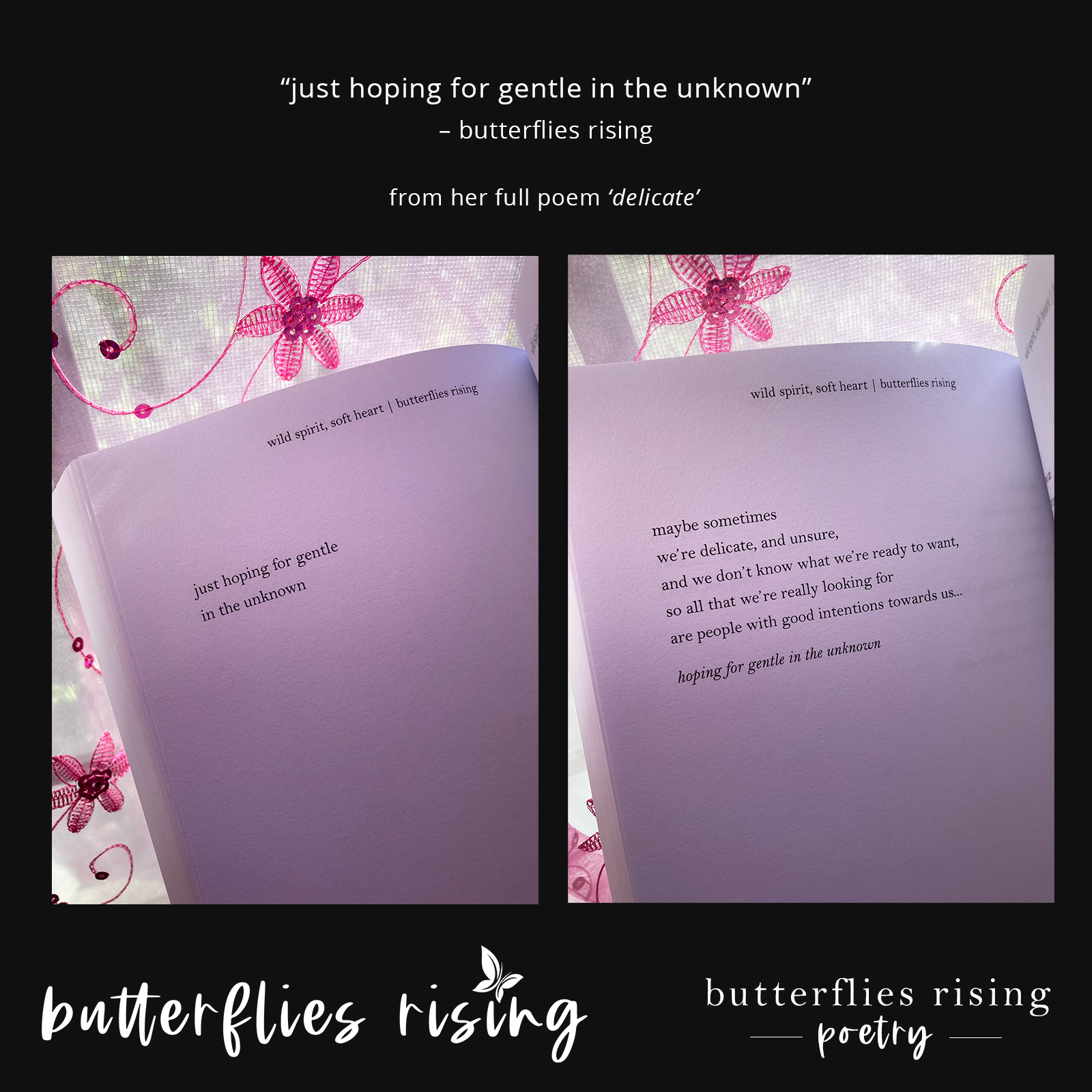 just hoping for gentle in the unknown - butterflies rising