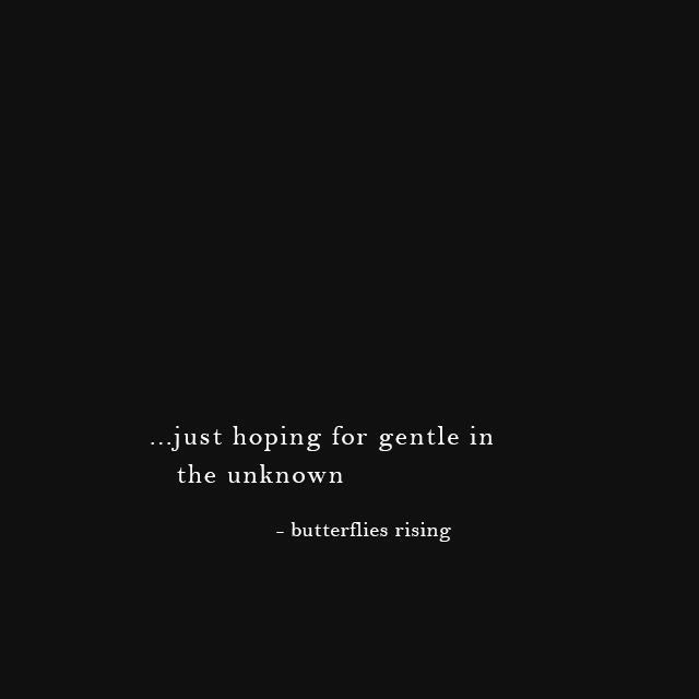 just hoping for gentle in the unknown - butterflies rising