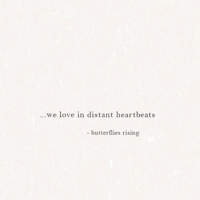 ...we love in distant heartbeats - butterflies rising
