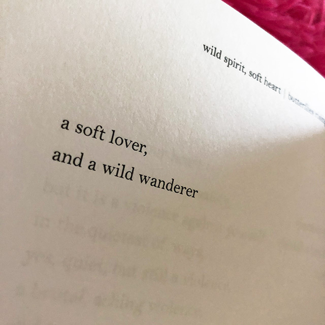 a soft lover, and a wild wanderer - butterflies rising