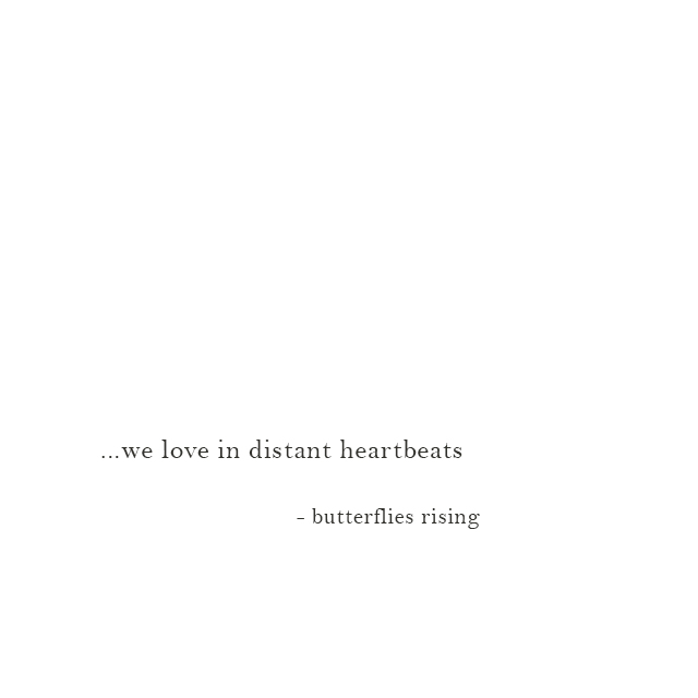 we love in distant heartbeats - butterflies rising