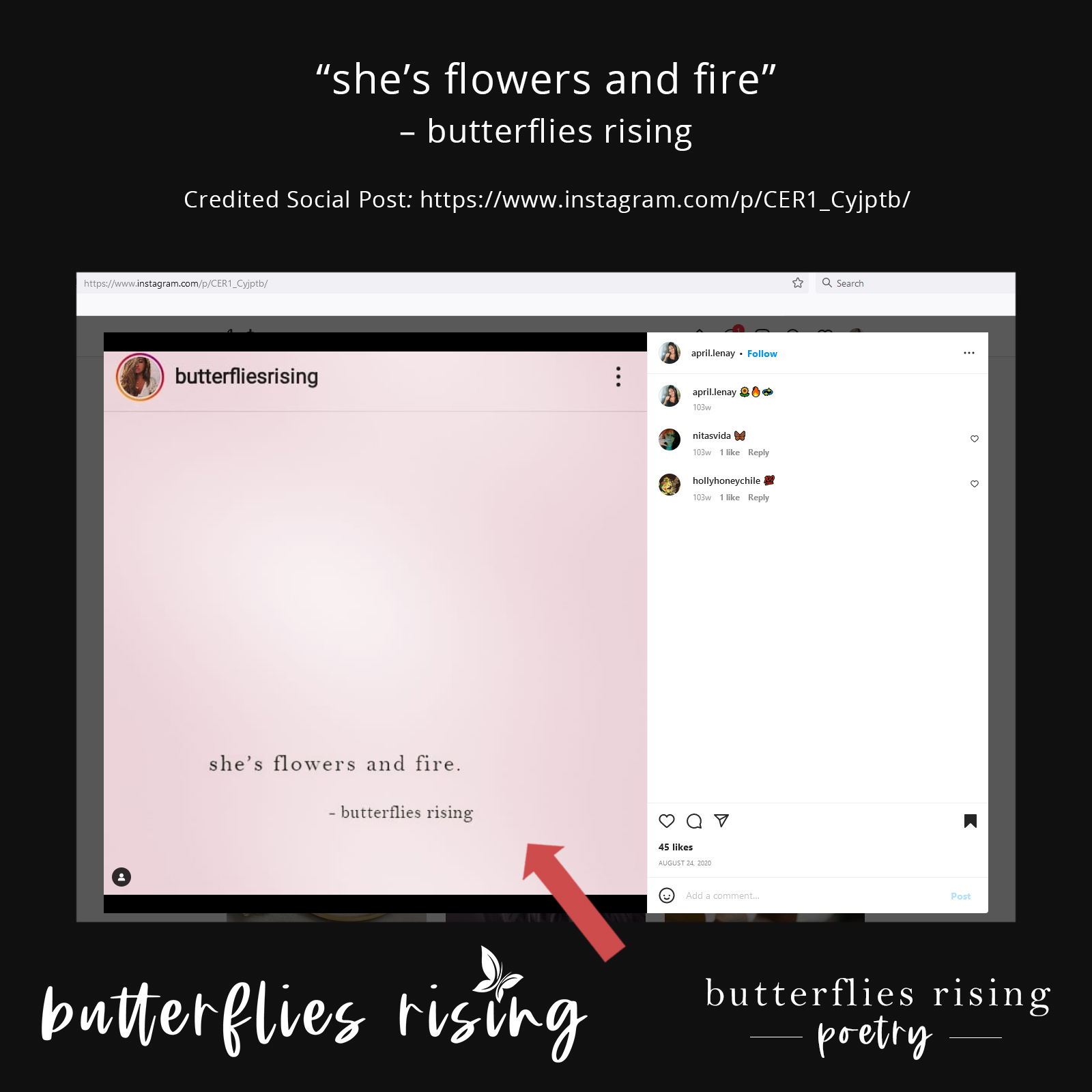 she’s flowers and fire - butterflies rising