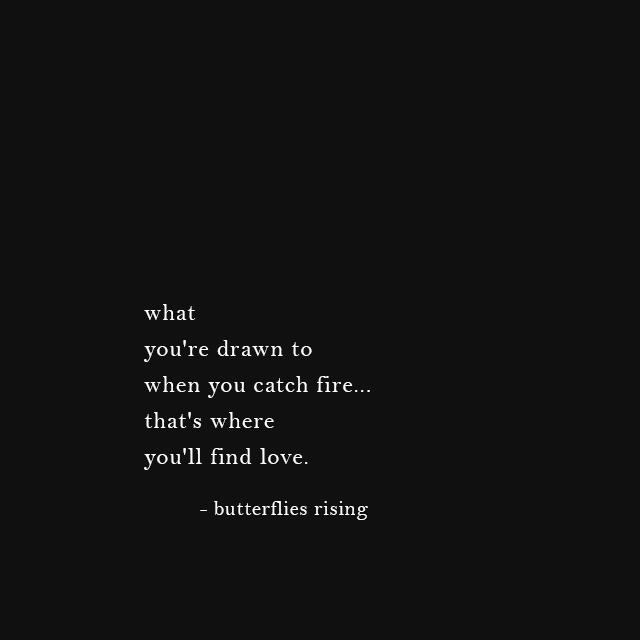 wwhat you're drawn to when you catch fire... that's where you'll find love - butterflies rising