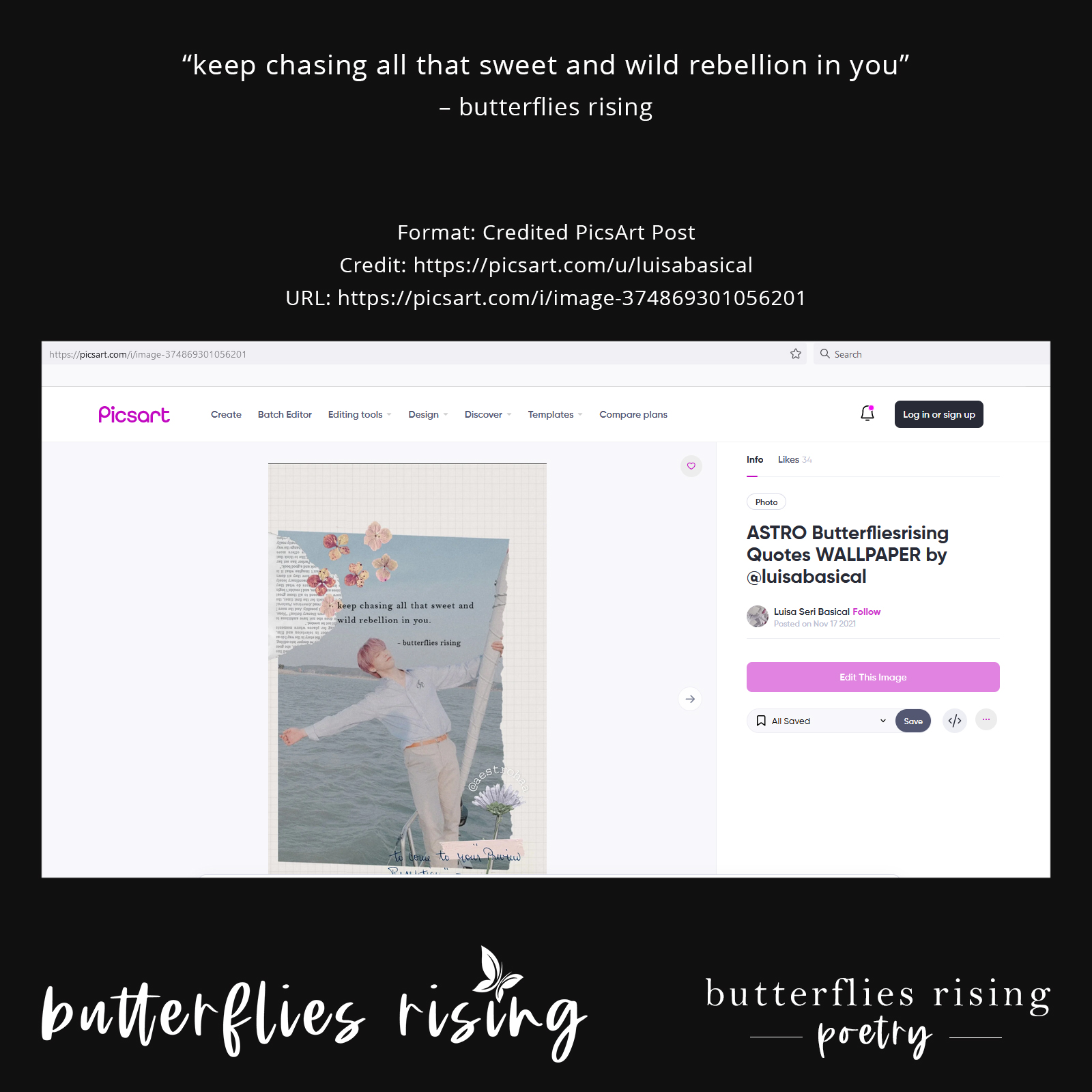 keep chasing all that sweet and wild rebellion in you - butterflies rising quote