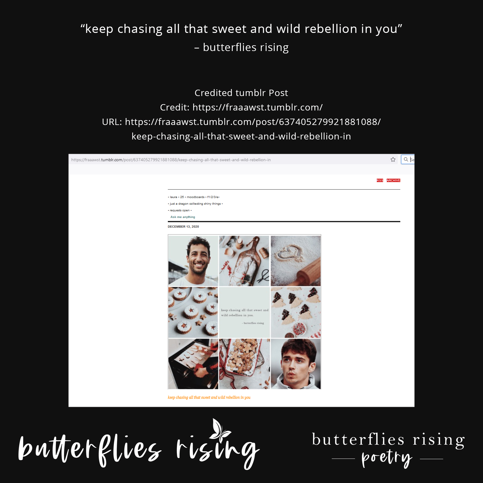 keep chasing all that sweet and wild rebellion in you - butterflies rising