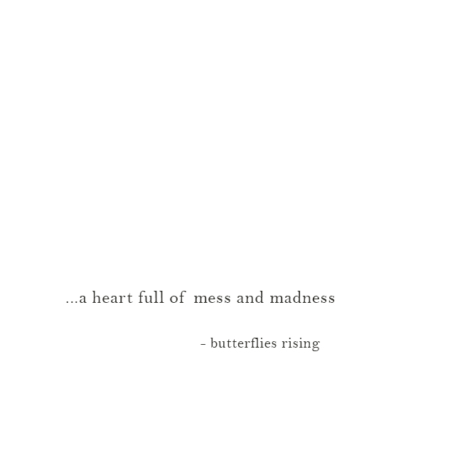 ...a heart full of mess and madness - butterflies rising