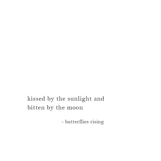 kissed by the sunlight and bitten by the moon - butterflies rising