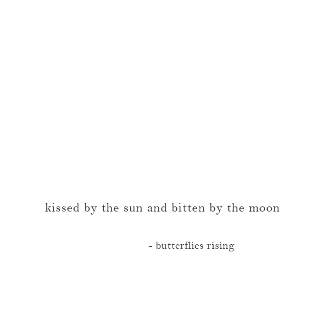 kissed by the sun and bitten by the moon - butterflies rising