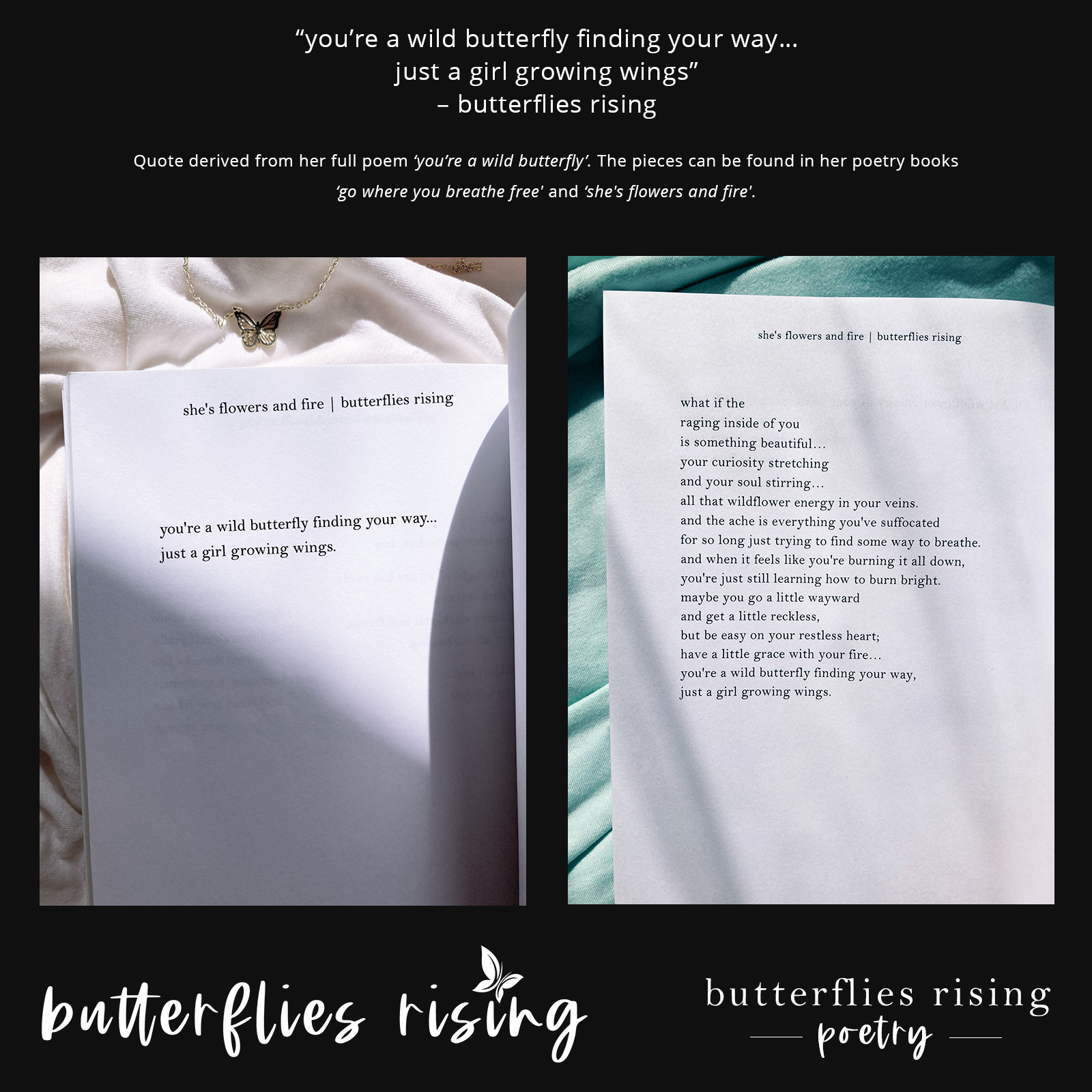 you’re a wild butterfly finding your way