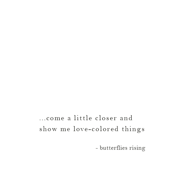 ...come a little closer and show me love-colored things - butterflies rising