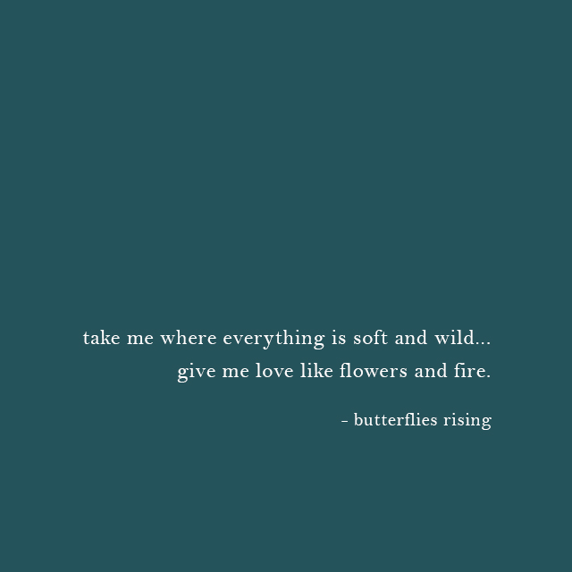 take me where everything is soft and wild... give me love like flowers and fire. - butterflies rising