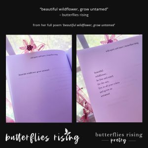 beautiful wildflower, grow untamed - butterflies rising