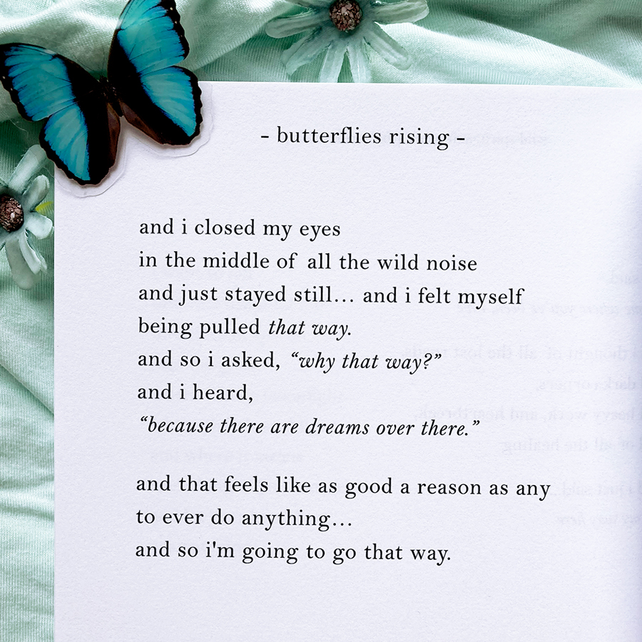 and i closed my eyes in the middle of all the wild noise and just stayed still - butterflies rising poem