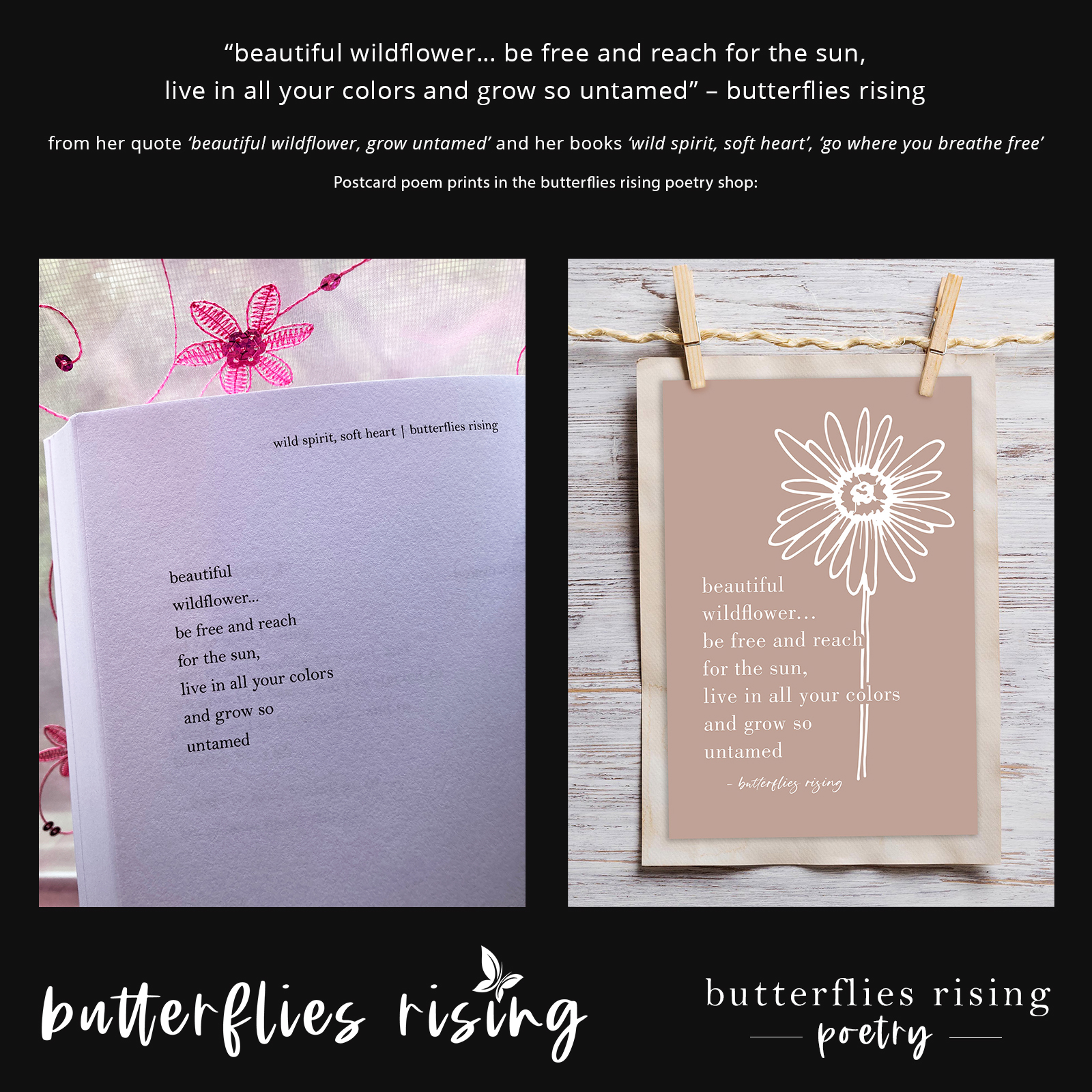 beautiful wildflower, grow untamed - butterflies rising poem postcards