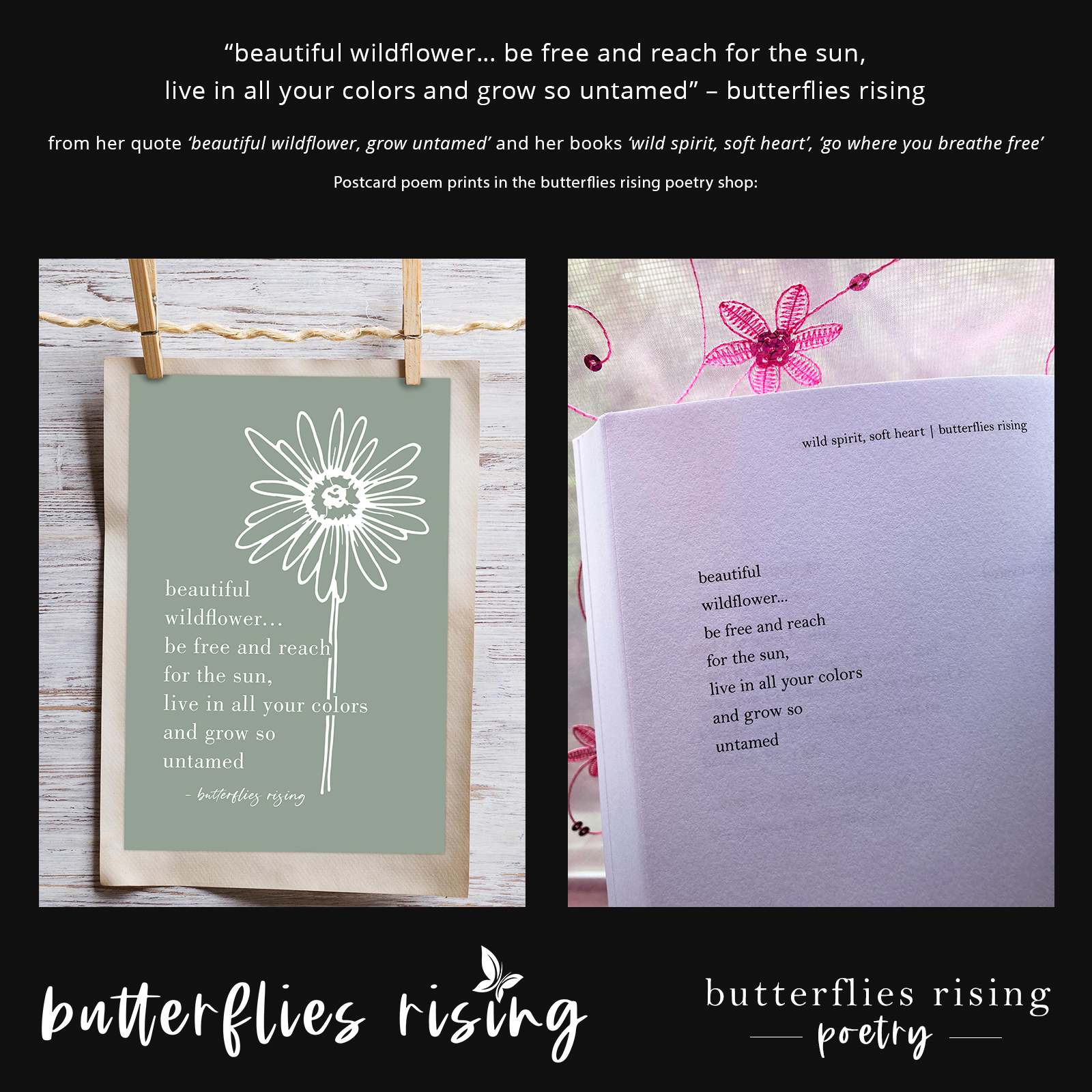 beautiful wildflower, grow untamed - butterflies rising poem postcards