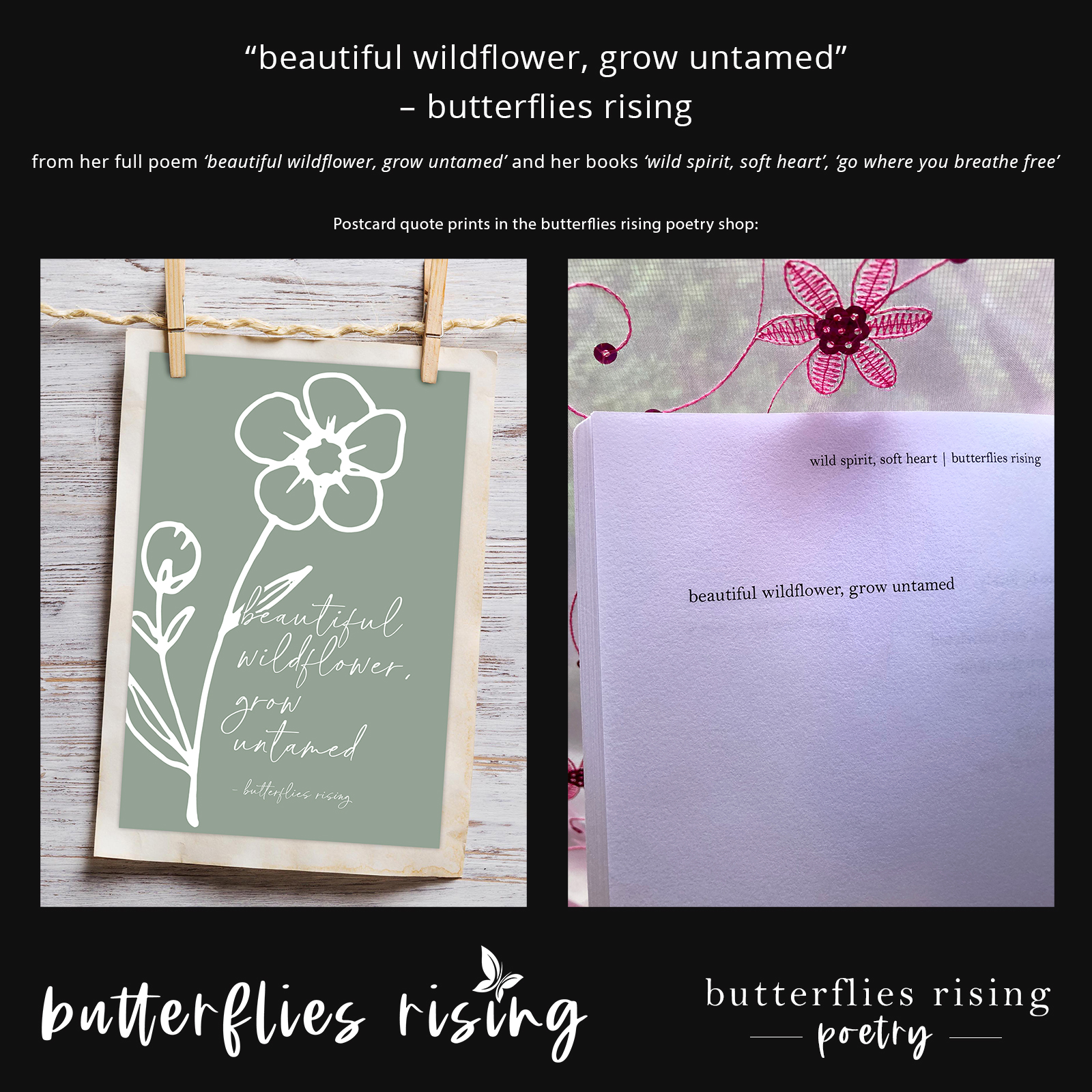 beautiful wildflower, grow untamed - butterflies rising quote postcards