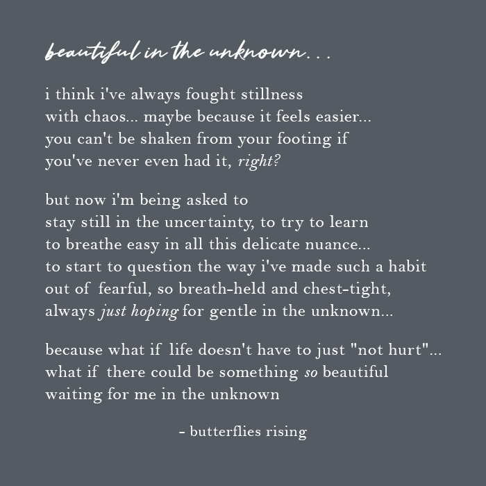 i think i've always fought stillness with chaos… maybe because it feels easier - butterflies rising