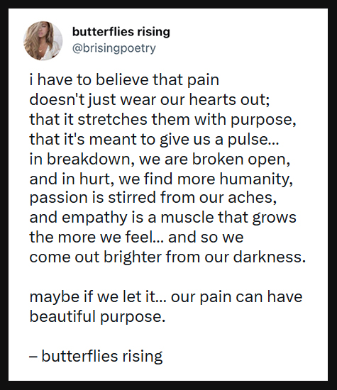i have to believe that pain doesn't just wear our hearts out - butterflies rising