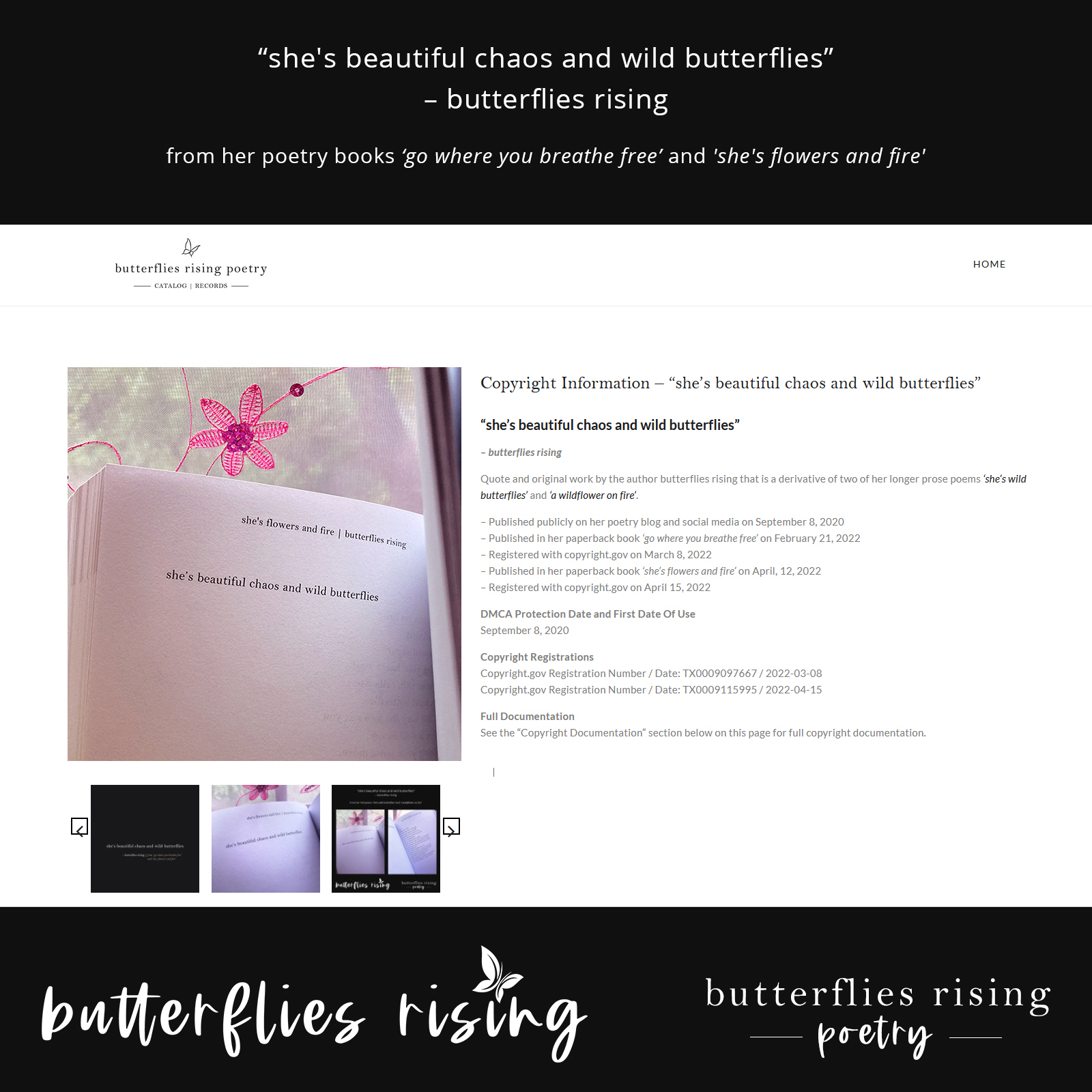 she's beautiful chaos and wild butterflies poem series - butterflies rising