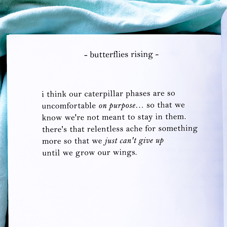 i think our caterpillar phases are so uncomfortable on purpose... so that we know we're not meant to stay in them