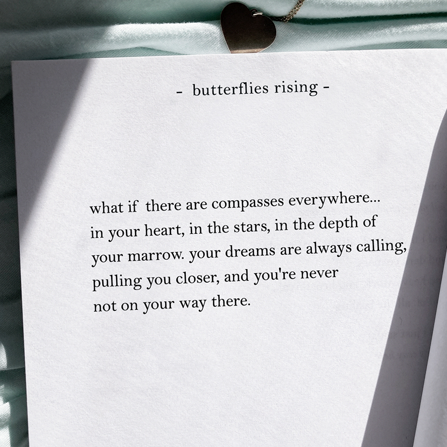 what if there are compasses everywhere... in your heart, in the stars, in the depth of your marrow