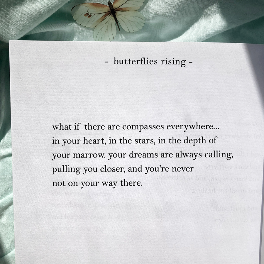 what if there are compasses everywhere... in your heart, in the stars, in the depth of your marrow