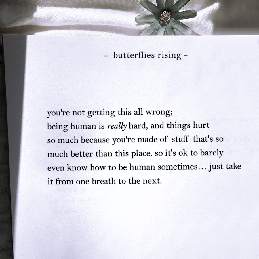 you're not getting this all wrong; being human is really hard, and things hurt so much because you're made of stuff that's so much better than this place