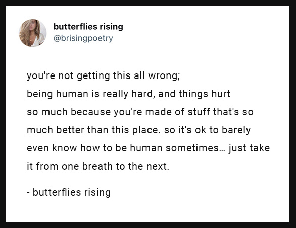 you're not getting this all wrong; being human is really hard, and things hurt so much because you're made of stuff that's so much better than this place