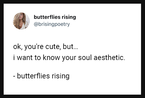 ok, you're cute, but… i want to know your soul aesthetic.